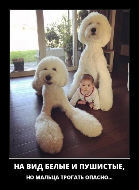 Фото русский демотиватор