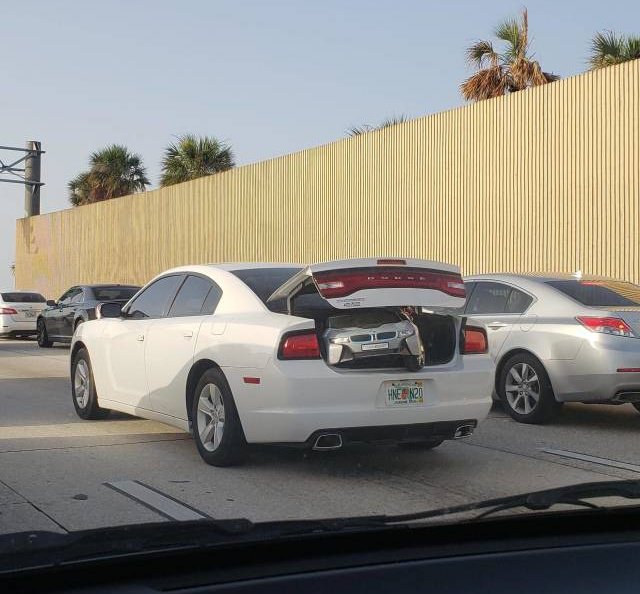 Подборка фото-приколов с надписями (89 фото)