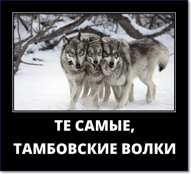 Прикольные демотиваторы Прикольные демотиваторы