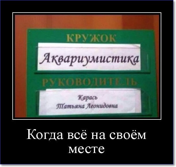 Новые демотиваторы 2019 года