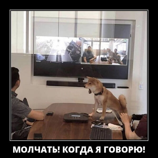 Свежие демотиваторы 2019 года из соцсети ВК