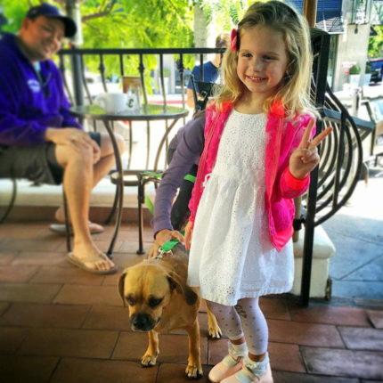 Анна Седокова