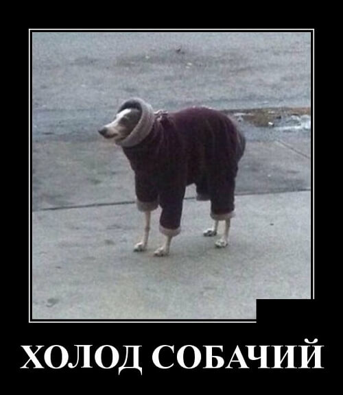 Фото русский демотиватор