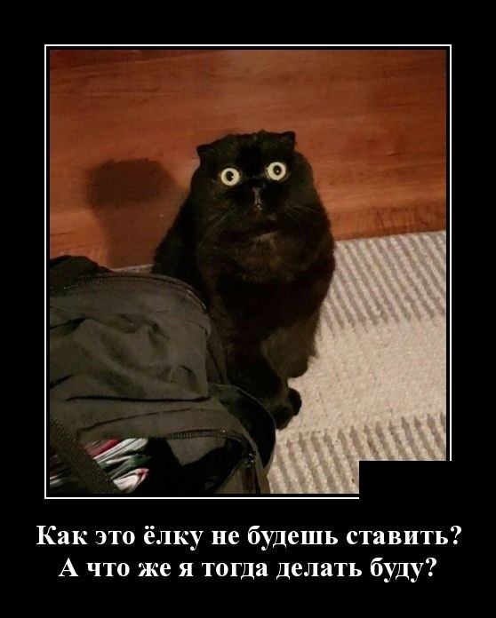 Демотиваторы 2019 года Демотиваторы 2019 года