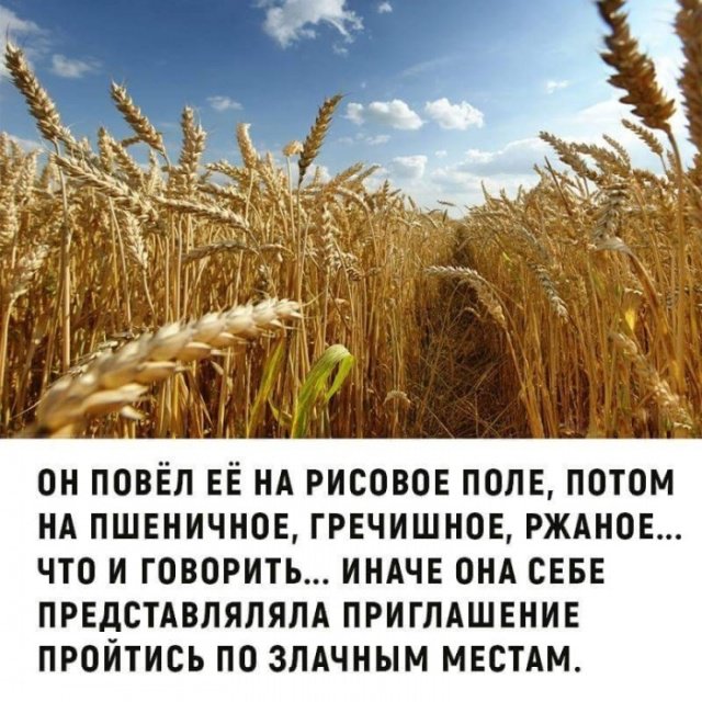 Подборка прикольных фотографий (86 фото)