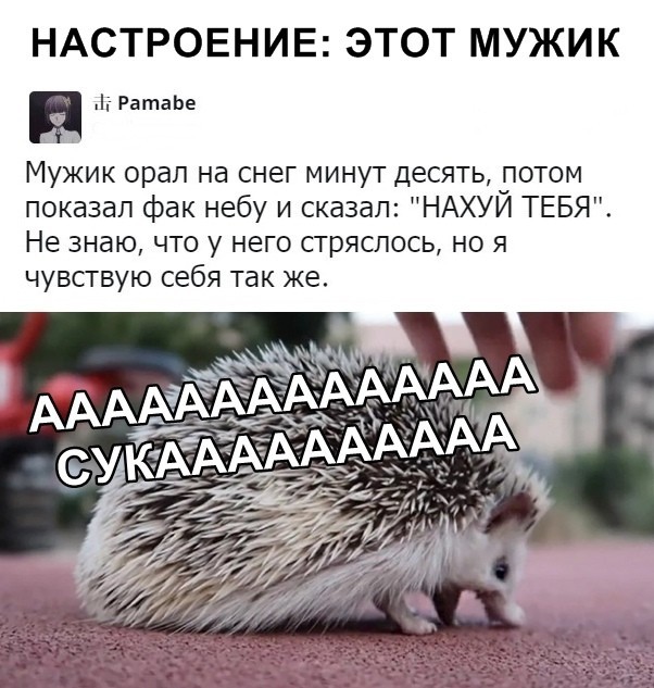 Скриншоты из социальных сетей (40 фото)