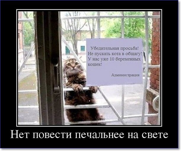 Новые демотиваторы 2019 года