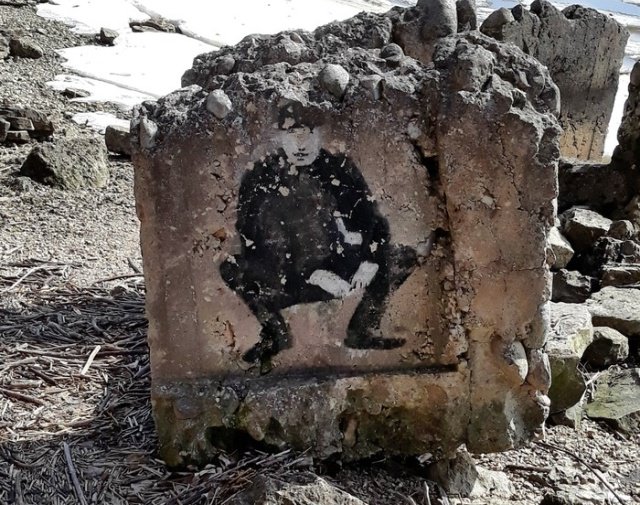 Подборка прикольных фотографий (86 фото)