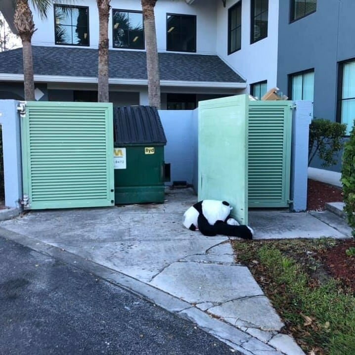 Эта панда была выброшена в мусорку, но неравнодушные люди спасли её (11 фото)