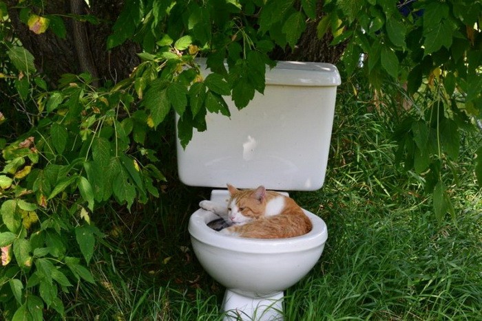 Подборка прикольных фотографий (86 фото)