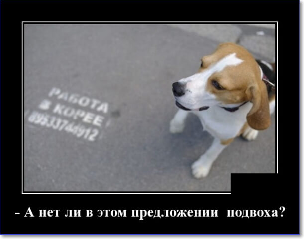 Кайфологовые демотиваторы