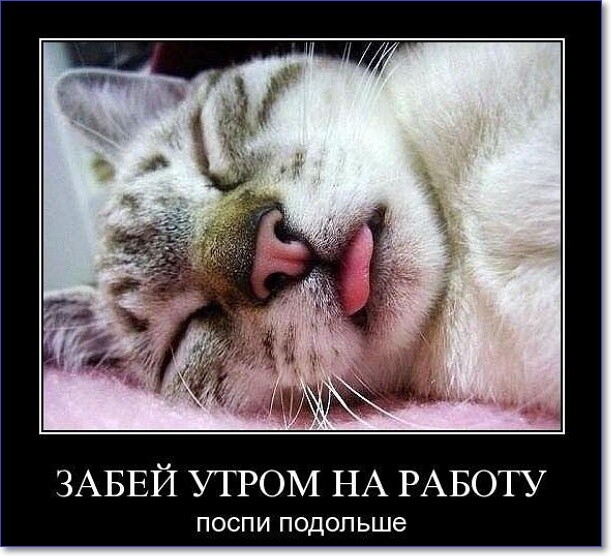 Смешные демотиваторы про работу Смешные демотиваторы про работу