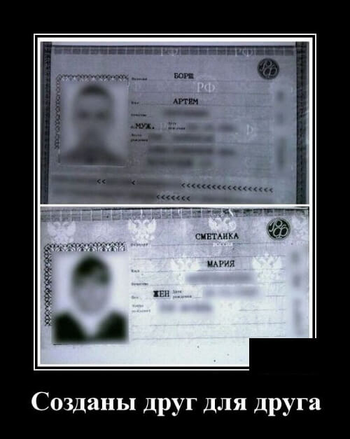 Свежие демотиваторы 2019 года из соцсети ВК