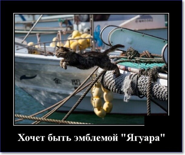 Забавные и очень смешные демотиваторы про девушек и не только