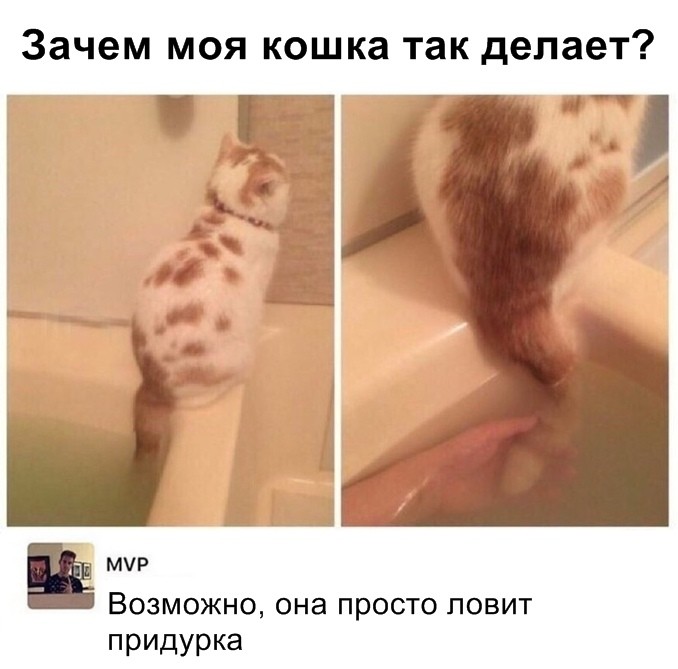 Скриншоты из социальных сетей (59 фото)