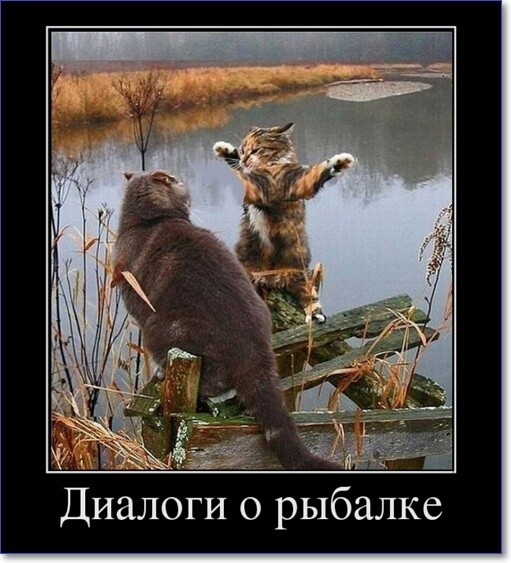Прикольные демотиваторы Прикольные демотиваторы