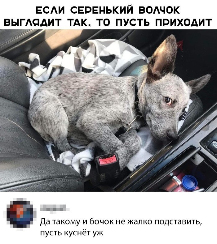 Скриншоты из социальных сетей (59 фото)