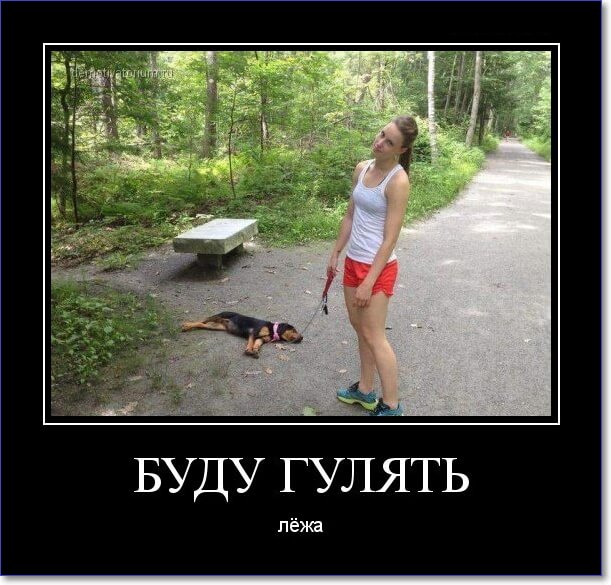 Прикольные демотиваторы Прикольные демотиваторы
