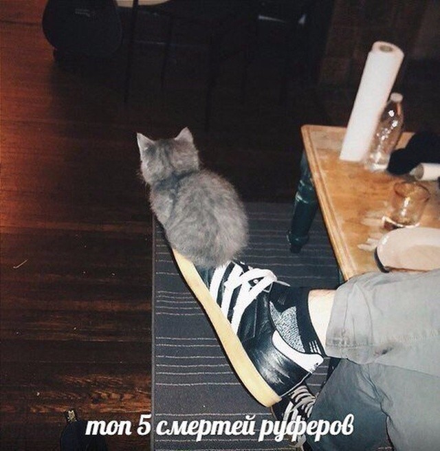 Очень странный юмор из социальных сетей (30 фото)