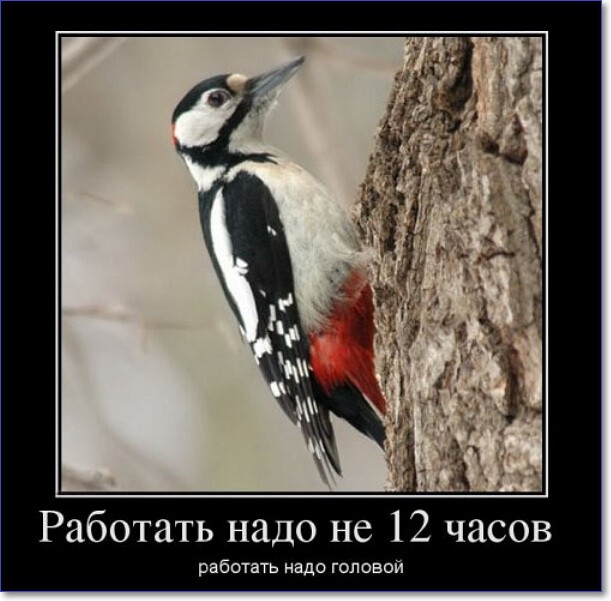 Смешные демотиваторы про работу Смешные демотиваторы про работу