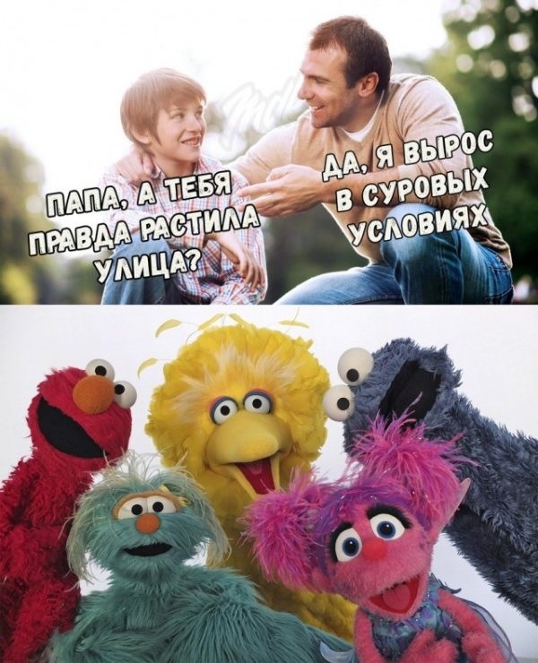 Очень странный юмор из социальных сетей (30 фото)