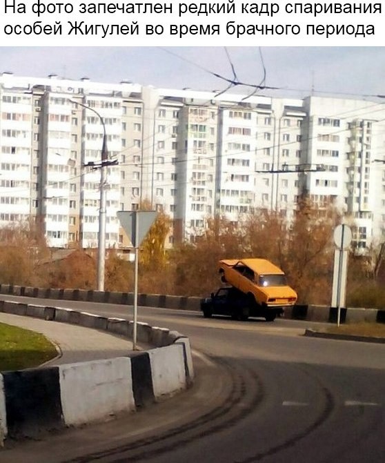 Странный юмор из соцсетей (33 фото) Странный юмор из соцсетей (33 фото)