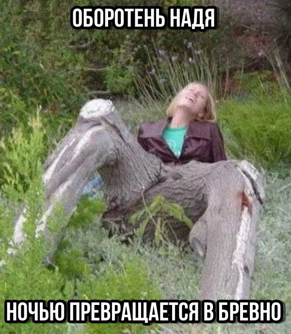 Лучшие прикольные картинки с надписями (20 фото)