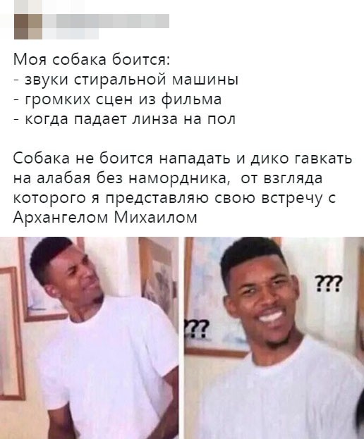 Скриншоты апрельского юмора из социальных сетей (35 фото)