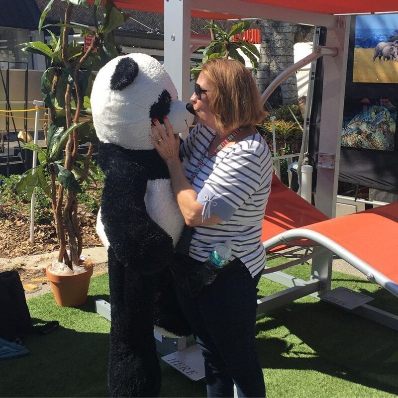 Эта панда была выброшена в мусорку, но неравнодушные люди спасли её (11 фото)