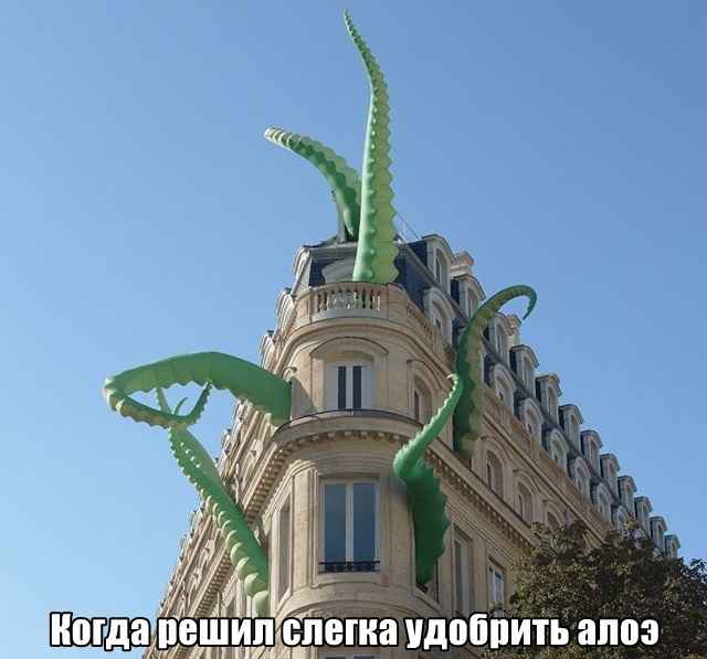 Подборка фотоприколов. Часть 4 ( 30 фото)