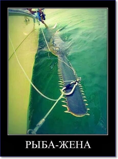 Прикольные демотиваторы, которые можно скачать