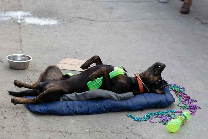 Подборка фотоприколов. Часть 4 ( 30 фото)