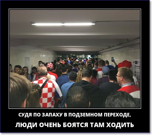 Злобные демотиваторы