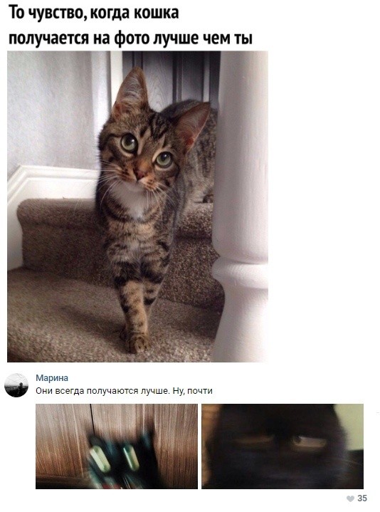 Подборка разных прикольных картинок (20 фото)