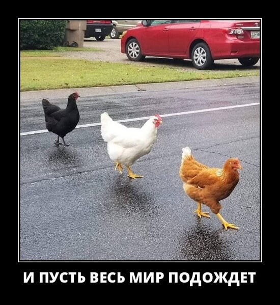 Фото русский демотиватор