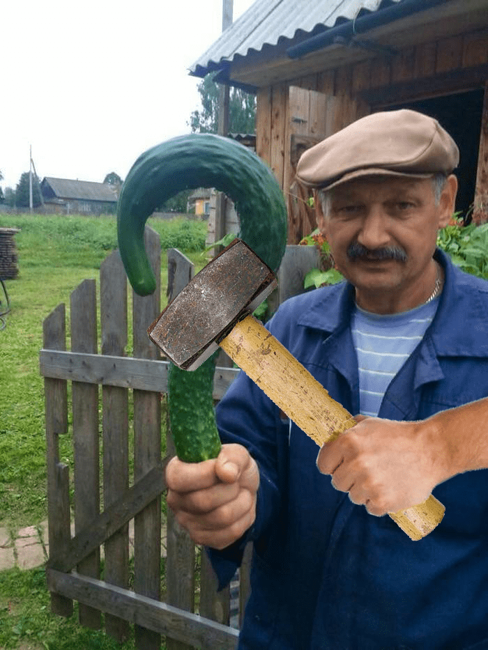 Мужчина показал свой огурец и стал героем мемов (16 фото) Мужчина показал свой огурец и стал героем мемов (16 фото)