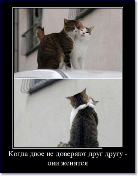 Злобные демотиваторы