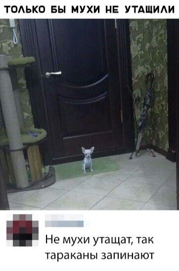 Убойные мемы из социальных сетей (30 фото)