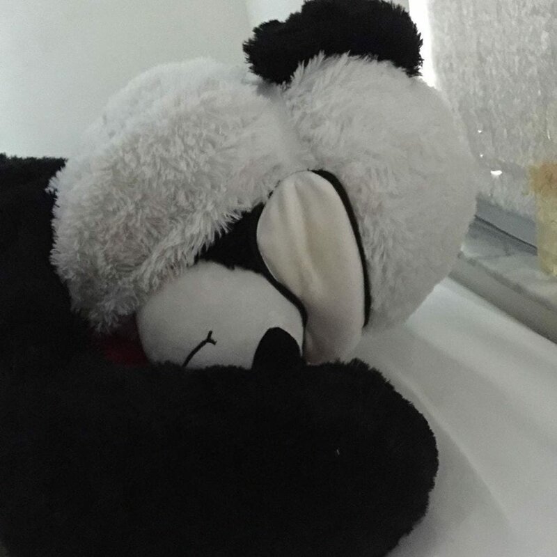 Эта панда была выброшена в мусорку, но неравнодушные люди спасли её (11 фото)