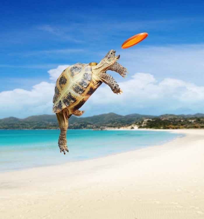 Подборка фотоприколов. Часть 4 ( 30 фото)