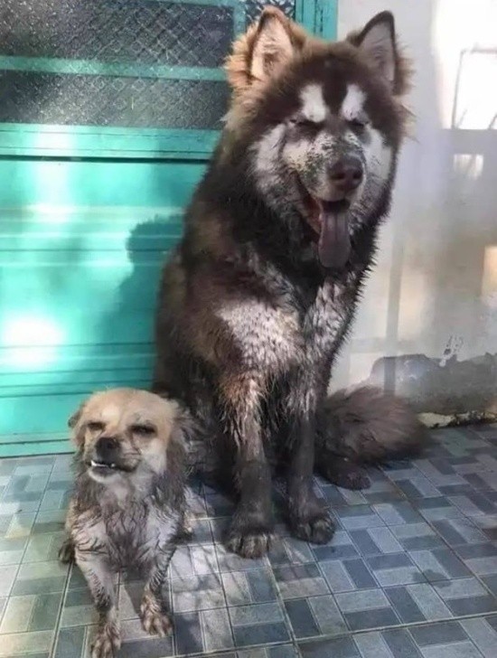 Подборка разных прикольных картинок (20 фото)