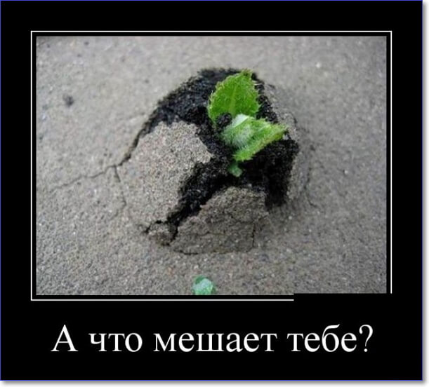 Злобные демотиваторы