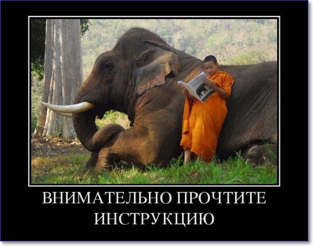 Новые демотиваторы 2019 года