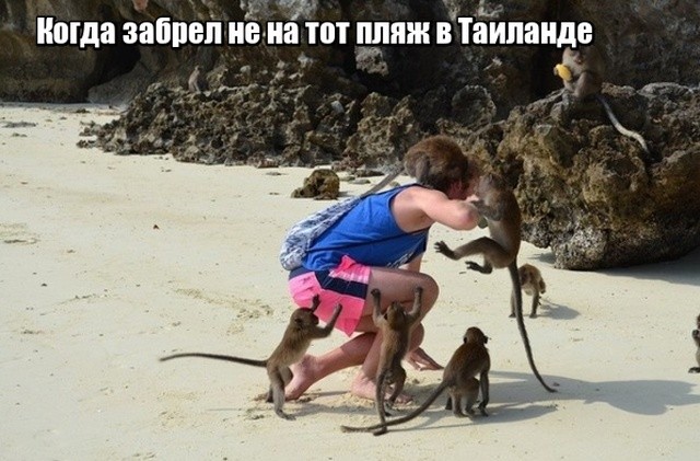 Фотоподборка, которая расскажет о странах мира лучше, чем любой путеводитель (17 фото) Фотоподборка, которая расскажет о странах мира лучше, чем любой путеводитель (17 фото)
