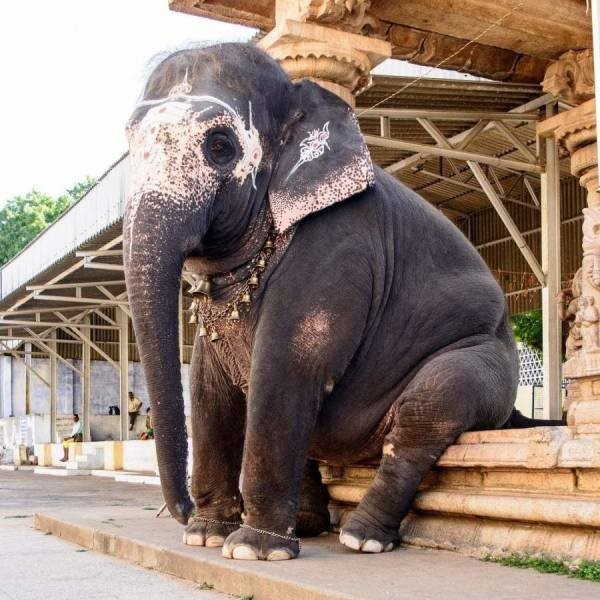 Подборка прикольных фотографий (86 фото)