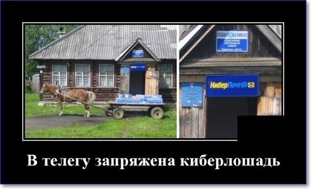 Новые демотиваторы 2019 года