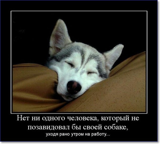Смешные демотиваторы про работу Смешные демотиваторы про работу