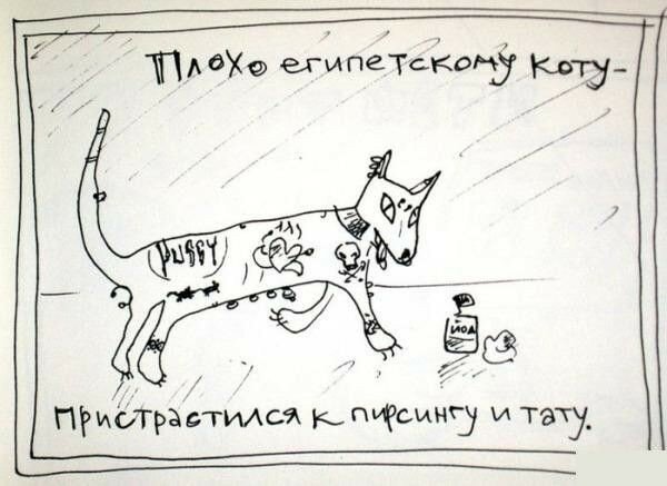 Дурные привычки (17 фото) Дурные привычки (17 фото)