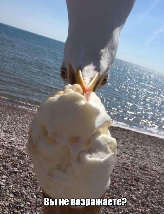 И снова смешные картинки (20 фото)