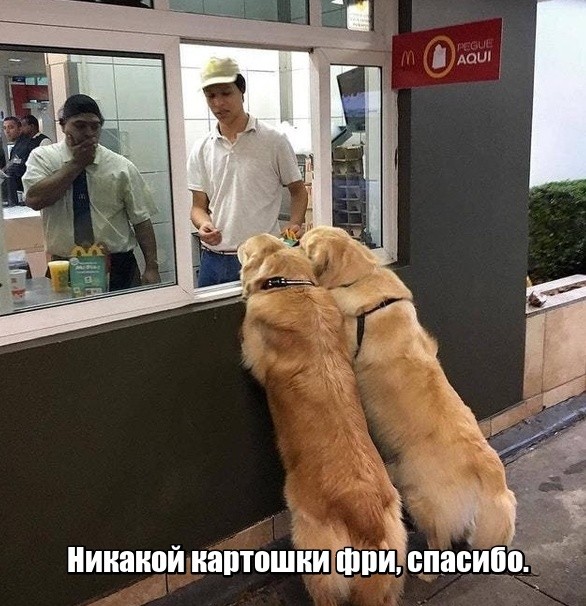 И снова смешные картинки (20 фото)